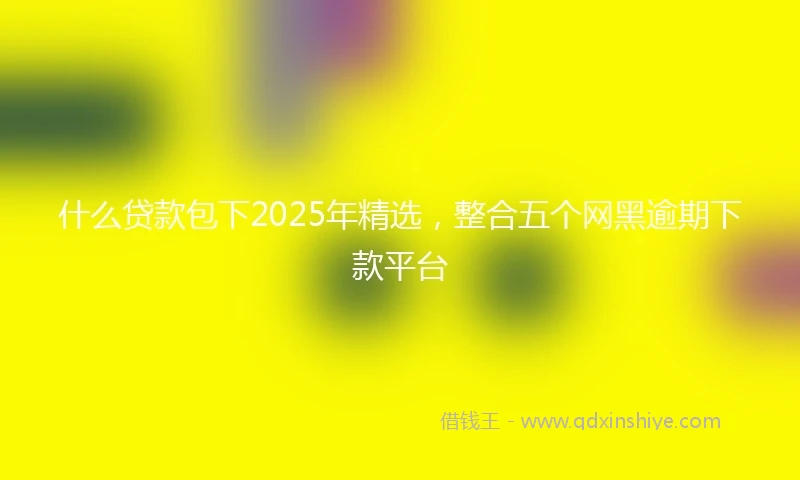 什么贷款包下2025年精选，整合五个网黑逾期下款平台