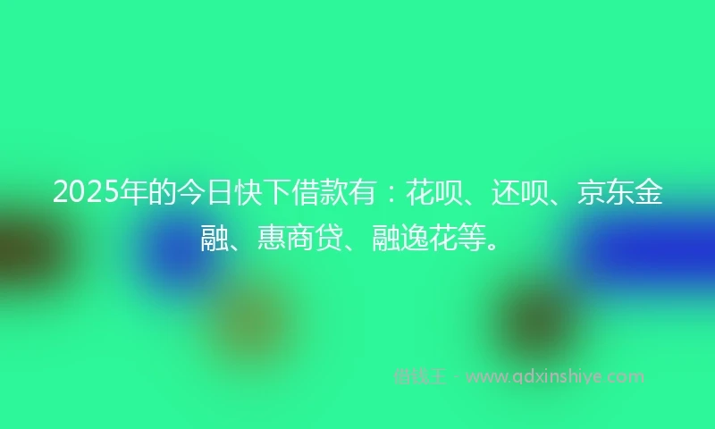 2025年的今日快下借款有：花呗、还呗、京东金融、惠商贷、融逸花等。