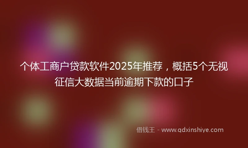 个体工商户贷款软件2025年推荐，概括5个无视征信大数据当前逾期下款的口子