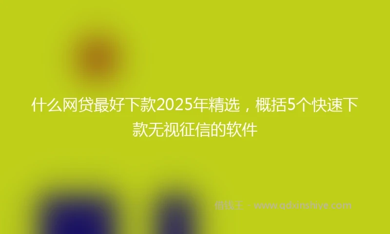 什么网贷最好下款2025年精选，概括5个快速下款无视征信的软件