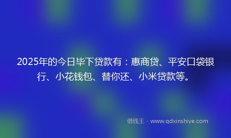 2025年的今日毕下贷款有：惠商贷、平安口袋银行、小花钱包、替你还、小米贷款等。