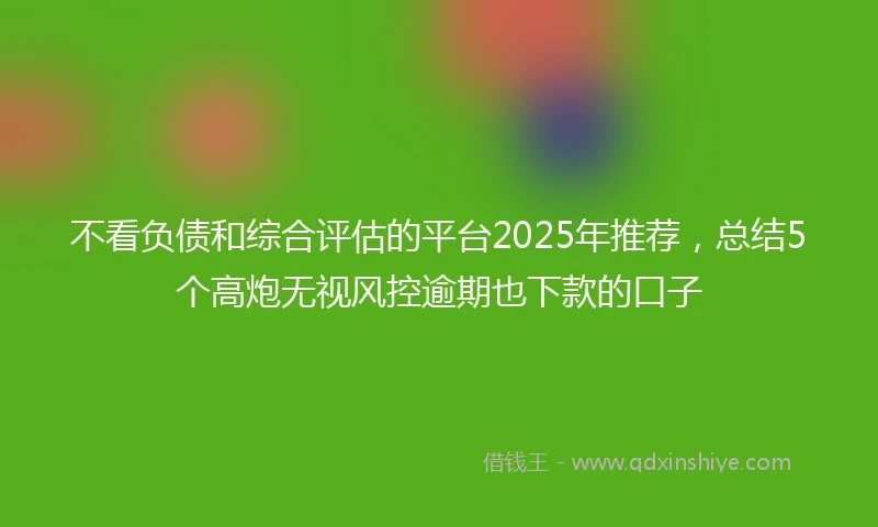 不看负债和综合评估的平台2025年推荐，总结5个高炮无视风控逾期也下款的口子
