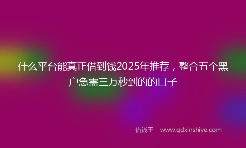 什么平台能真正借到钱2025年推荐，整合五个黑户急需三万秒到的的口子