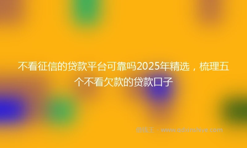 不看征信的贷款平台可靠吗2025年精选，梳理五个不看欠款的贷款口子
