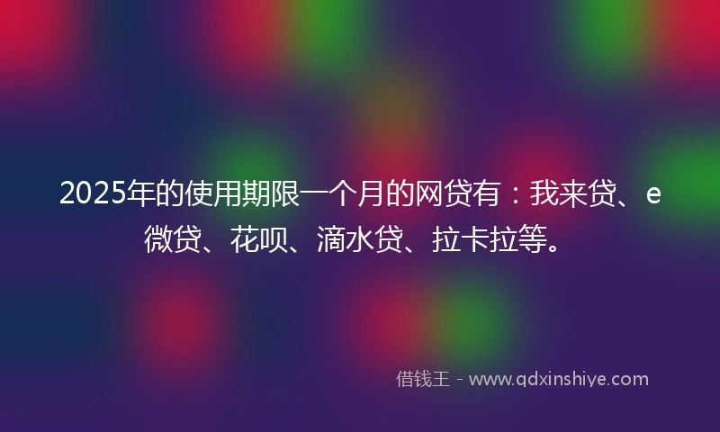 2025年的使用期限一个月的网贷有：我来贷、e微贷、花呗、滴水贷、拉卡拉等。