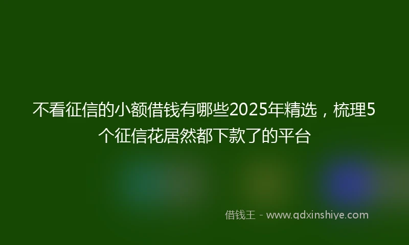 不看征信的小额借钱有哪些2025年精选，梳理5个征信花居然都下款了的平台