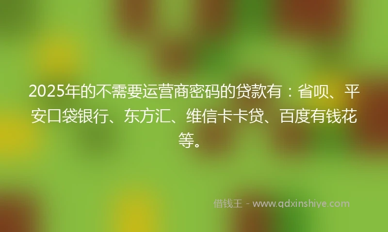 2025年的不需要运营商密码的贷款有：省呗、平安口袋银行、东方汇、维信卡卡贷、百度有钱花等。