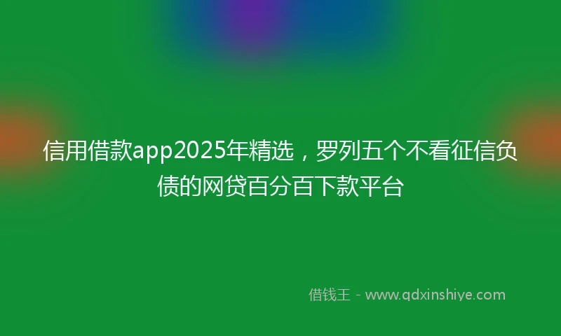 信用借款app2025年精选，罗列五个不看征信负债的网贷百分百下款平台