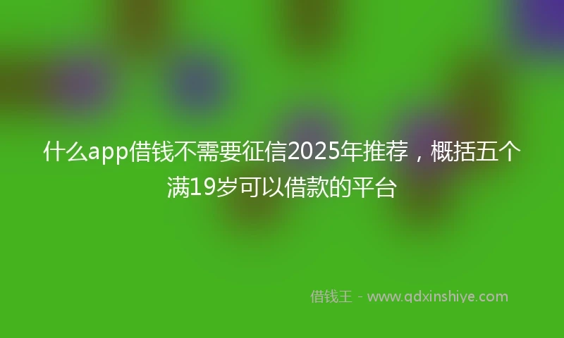 什么app借钱不需要征信2025年推荐，概括五个满19岁可以借款的平台