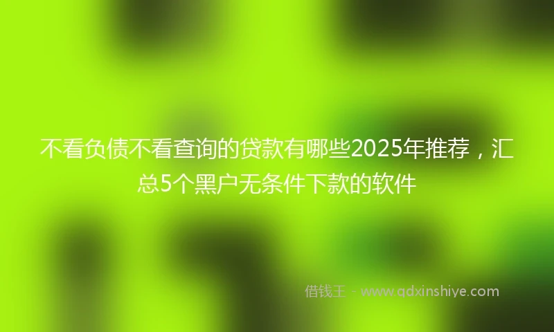 不看负债不看查询的贷款有哪些2025年推荐，汇总5个黑户无条件下款的软件