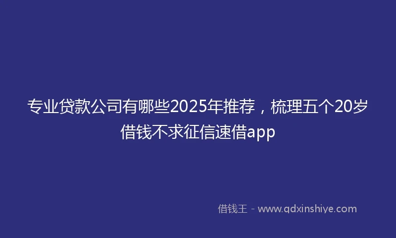 专业贷款公司有哪些2025年推荐，梳理五个20岁借钱不求征信速借app