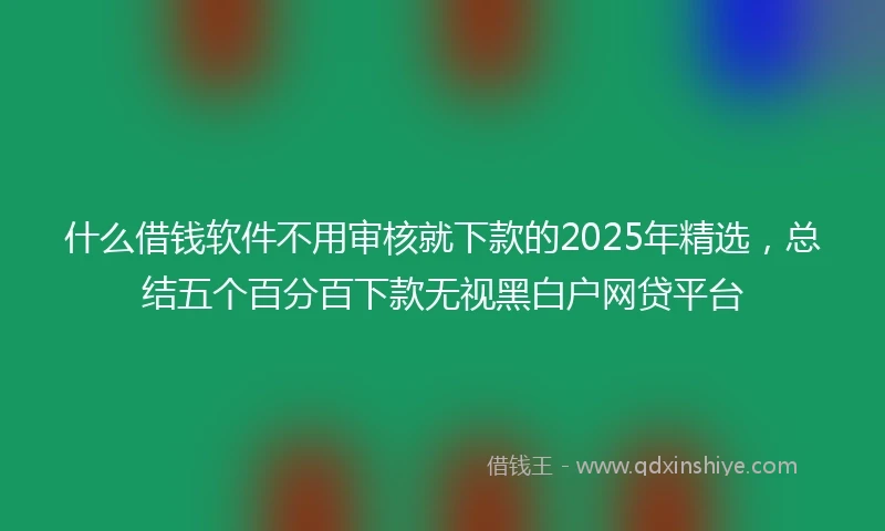什么借钱软件不用审核就下款的2025年精选，总结五个百分百下款无视黑白户网贷平台