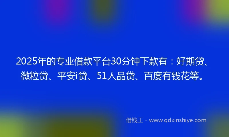 2025年的专业借款平台30分钟下款有：好期贷、微粒贷、平安i贷、51人品贷、百度有钱花等。