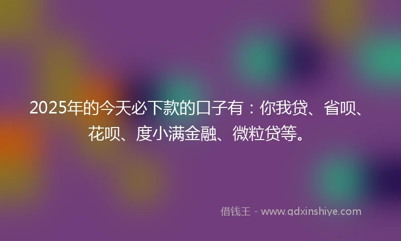 2025年的今天必下款的口子有：你我贷、省呗、花呗、度小满金融、微粒贷等。