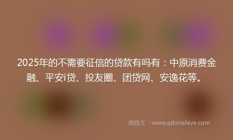2025年的不需要征信的贷款有吗有：中原消费金融、平安i贷、投友圈、团贷网、安逸花等。