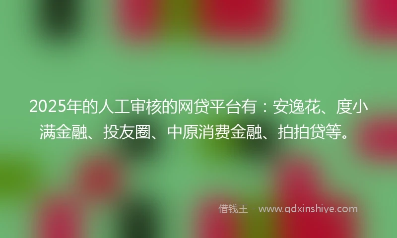 2025年的人工审核的网贷平台有：安逸花、度小满金融、投友圈、中原消费金融、拍拍贷等。