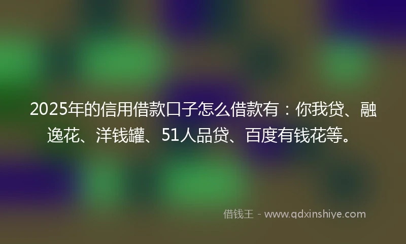 2025年的信用借款口子怎么借款有：你我贷、融逸花、洋钱罐、51人品贷、百度有钱花等。