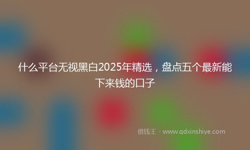 什么平台无视黑白2025年精选，盘点五个最新能下来钱的口子