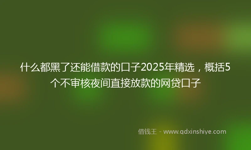 什么都黑了还能借款的口子2025年精选，概括5个不审核夜间直接放款的网贷口子