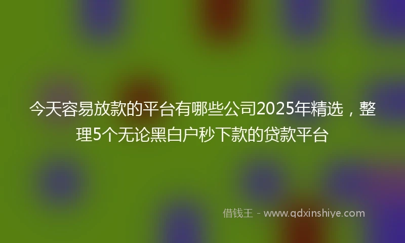 今天容易放款的平台有哪些公司2025年精选，整理5个无论黑白户秒下款的贷款平台