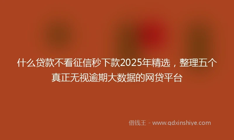 什么贷款不看征信秒下款2025年精选，整理五个真正无视逾期大数据的网贷平台