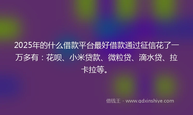 2025年的什么借款平台最好借款通过征信花了一万多有：花呗、小米贷款、微粒贷、滴水贷、拉卡拉等。