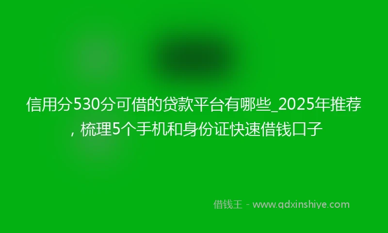 信用分530分可借的贷款平台有哪些_2025年推荐，梳理5个手机和身份证快速借钱口子