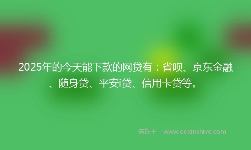 2025年的今天能下款的网贷有：省呗、京东金融、随身贷、平安i贷、信用卡贷等。