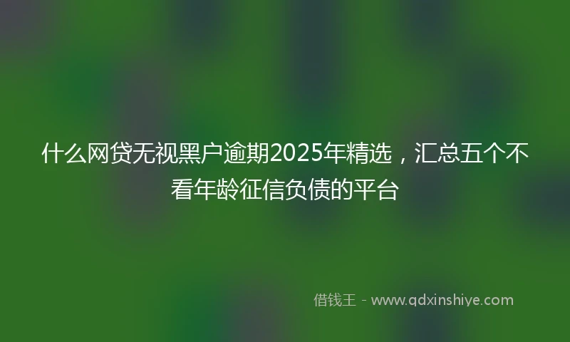 什么网贷无视黑户逾期2025年精选，汇总五个不看年龄征信负债的平台