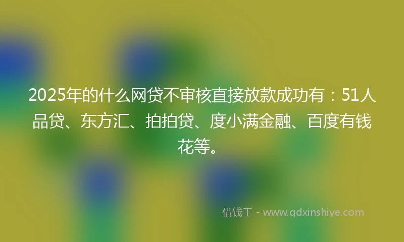 2025年的什么网贷不审核直接放款成功有：51人品贷、东方汇、拍拍贷、度小满金融、百度有钱花等。