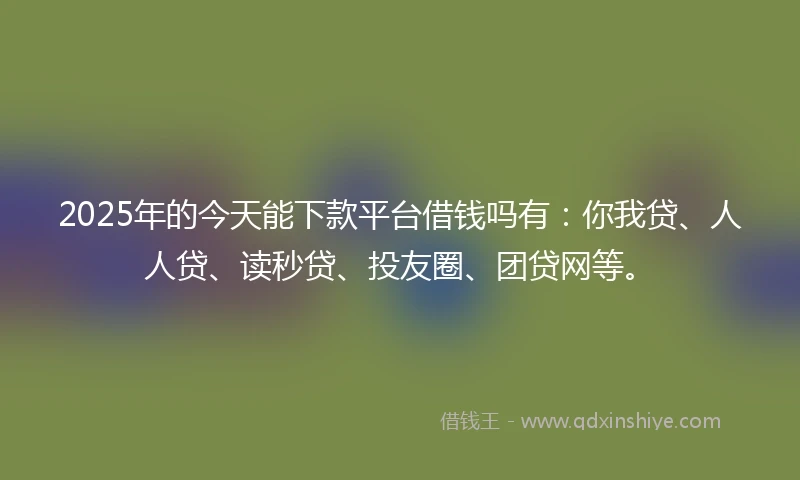 2025年的今天能下款平台借钱吗有：你我贷、人人贷、读秒贷、投友圈、团贷网等。