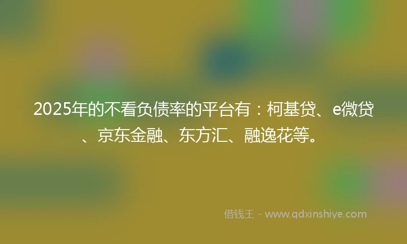 2025年的不看负债率的平台有：柯基贷、e微贷、京东金融、东方汇、融逸花等。