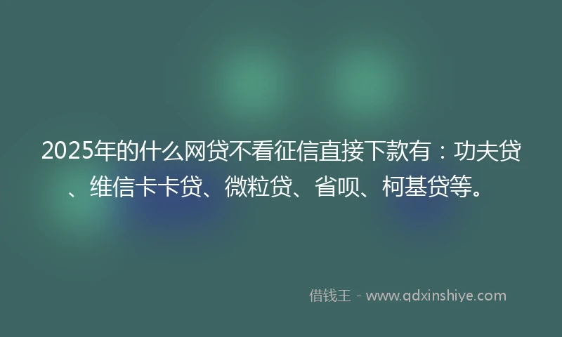 2025年的什么网贷不看征信直接下款有：功夫贷、维信卡卡贷、微粒贷、省呗、柯基贷等。