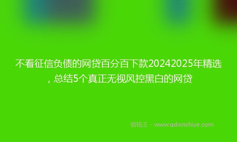 不看征信负债的网贷百分百下款20242025年精选，总结5个真正无视风控黑白的网贷