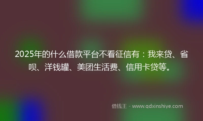2025年的什么借款平台不看征信有：我来贷、省呗、洋钱罐、美团生活费、信用卡贷等。