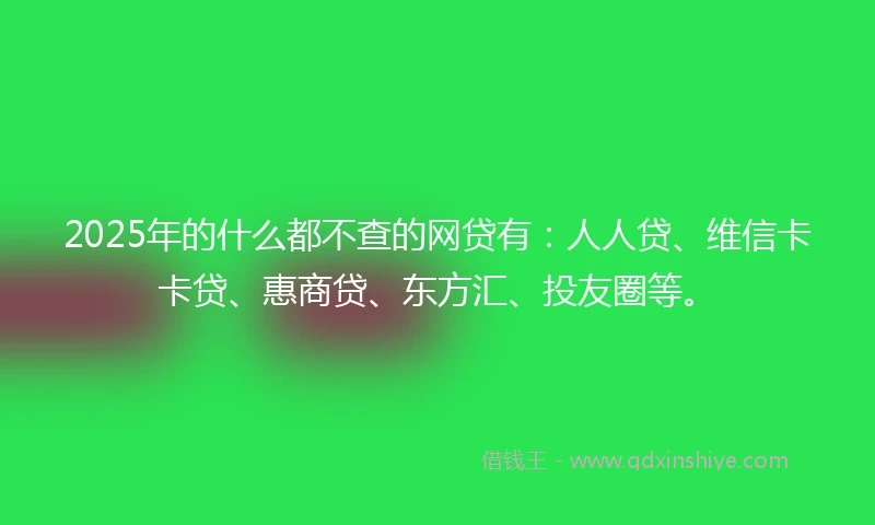 2025年的什么都不查的网贷有：人人贷、维信卡卡贷、惠商贷、东方汇、投友圈等。