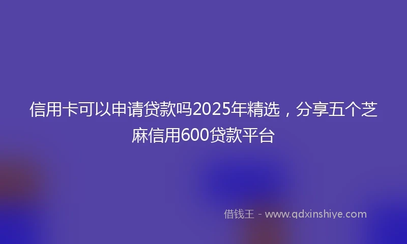 信用卡可以申请贷款吗2025年精选，分享五个芝麻信用600贷款平台