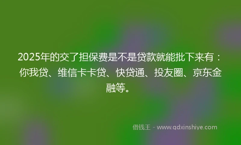 2025年的交了担保费是不是贷款就能批下来有：你我贷、维信卡卡贷、快贷通、投友圈、京东金融等。