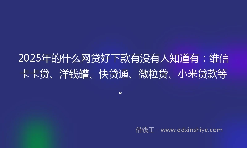 2025年的什么网贷好下款有没有人知道有：维信卡卡贷、洋钱罐、快贷通、微粒贷、小米贷款等。