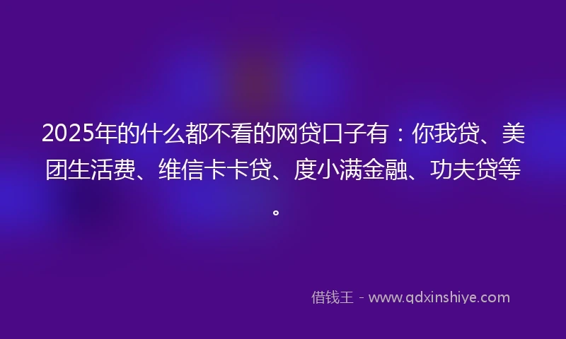 2025年的什么都不看的网贷口子有：你我贷、美团生活费、维信卡卡贷、度小满金融、功夫贷等。