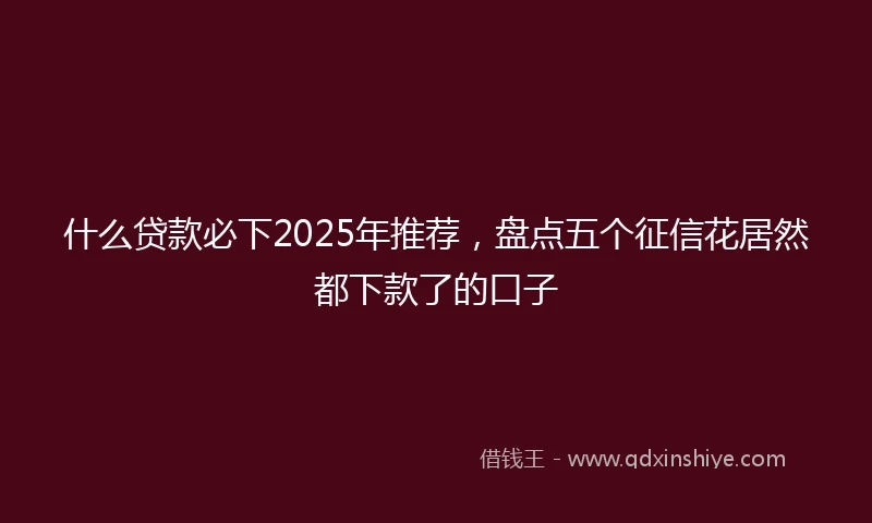 什么贷款必下2025年推荐，盘点五个征信花居然都下款了的口子