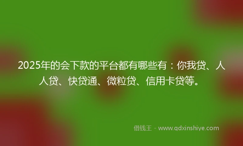 2025年的会下款的平台都有哪些有：你我贷、人人贷、快贷通、微粒贷、信用卡贷等。