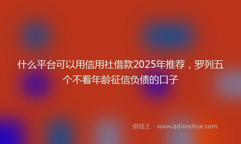 什么平台可以用信用社借款2025年推荐，罗列五个不看年龄征信负债的口子