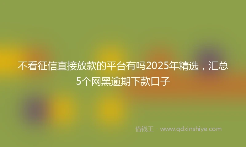 不看征信直接放款的平台有吗2025年精选，汇总5个网黑逾期下款口子