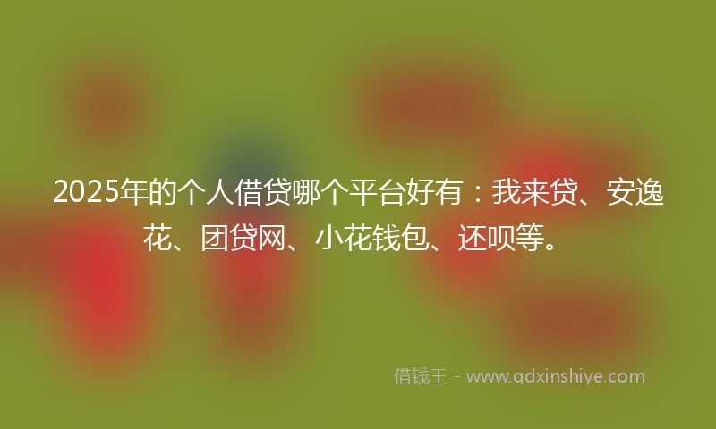 2025年的个人借贷哪个平台好有：我来贷、安逸花、团贷网、小花钱包、还呗等。