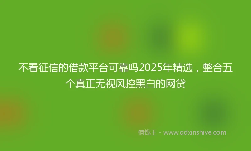 不看征信的借款平台可靠吗2025年精选，整合五个真正无视风控黑白的网贷