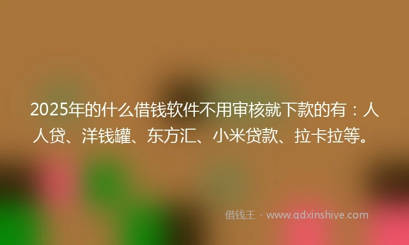 2025年的什么借钱软件不用审核就下款的有：人人贷、洋钱罐、东方汇、小米贷款、拉卡拉等。