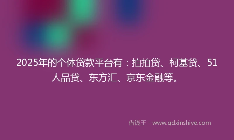 2025年的个体贷款平台有：拍拍贷、柯基贷、51人品贷、东方汇、京东金融等。