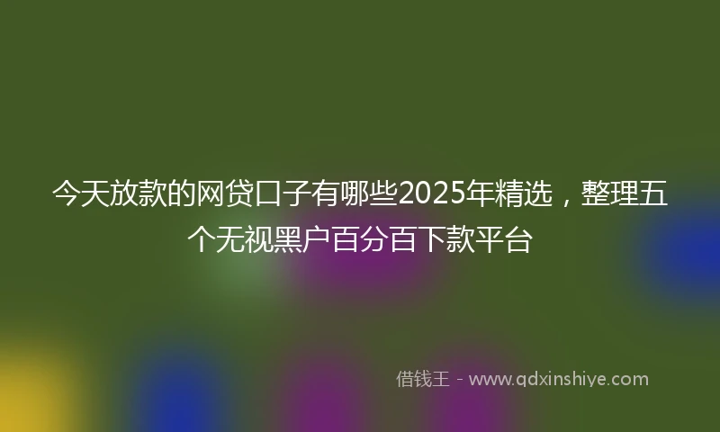 今天放款的网贷口子有哪些2025年精选，整理五个无视黑户百分百下款平台