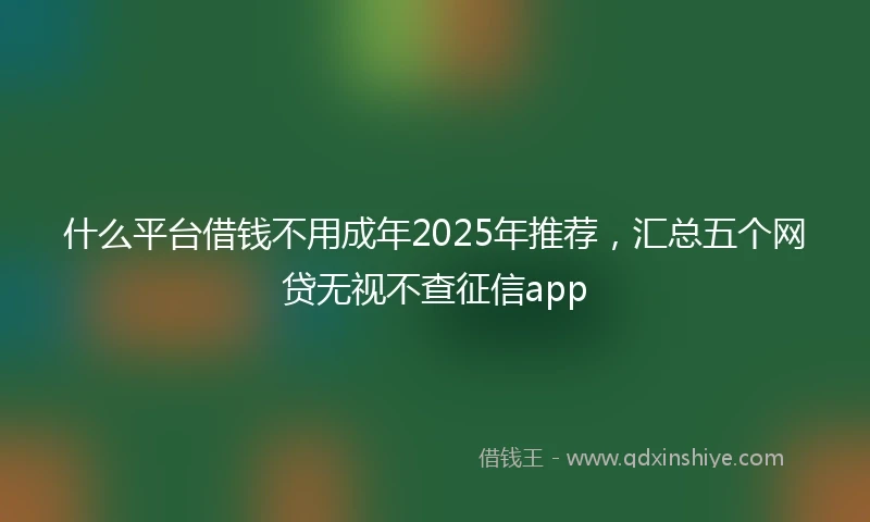 什么平台借钱不用成年2025年推荐，汇总五个网贷无视不查征信app